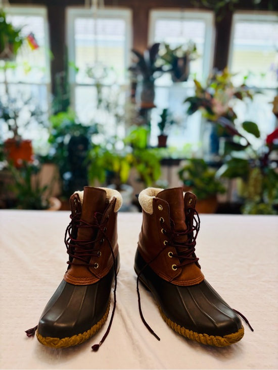 Tommy Hilfiger Shoes - Tommy Hilfiger Ankle Boots Brown and Black with Plush Lining